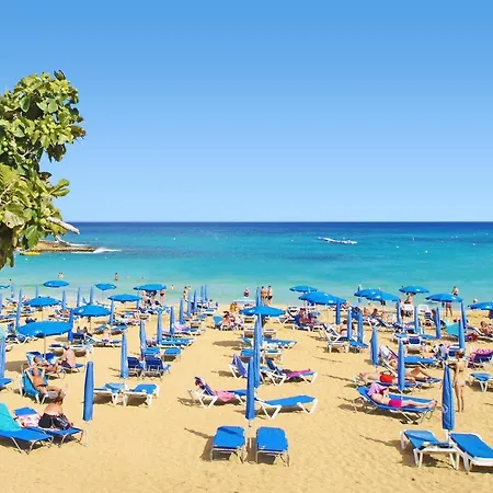 Becca - Coralli Beachfront *